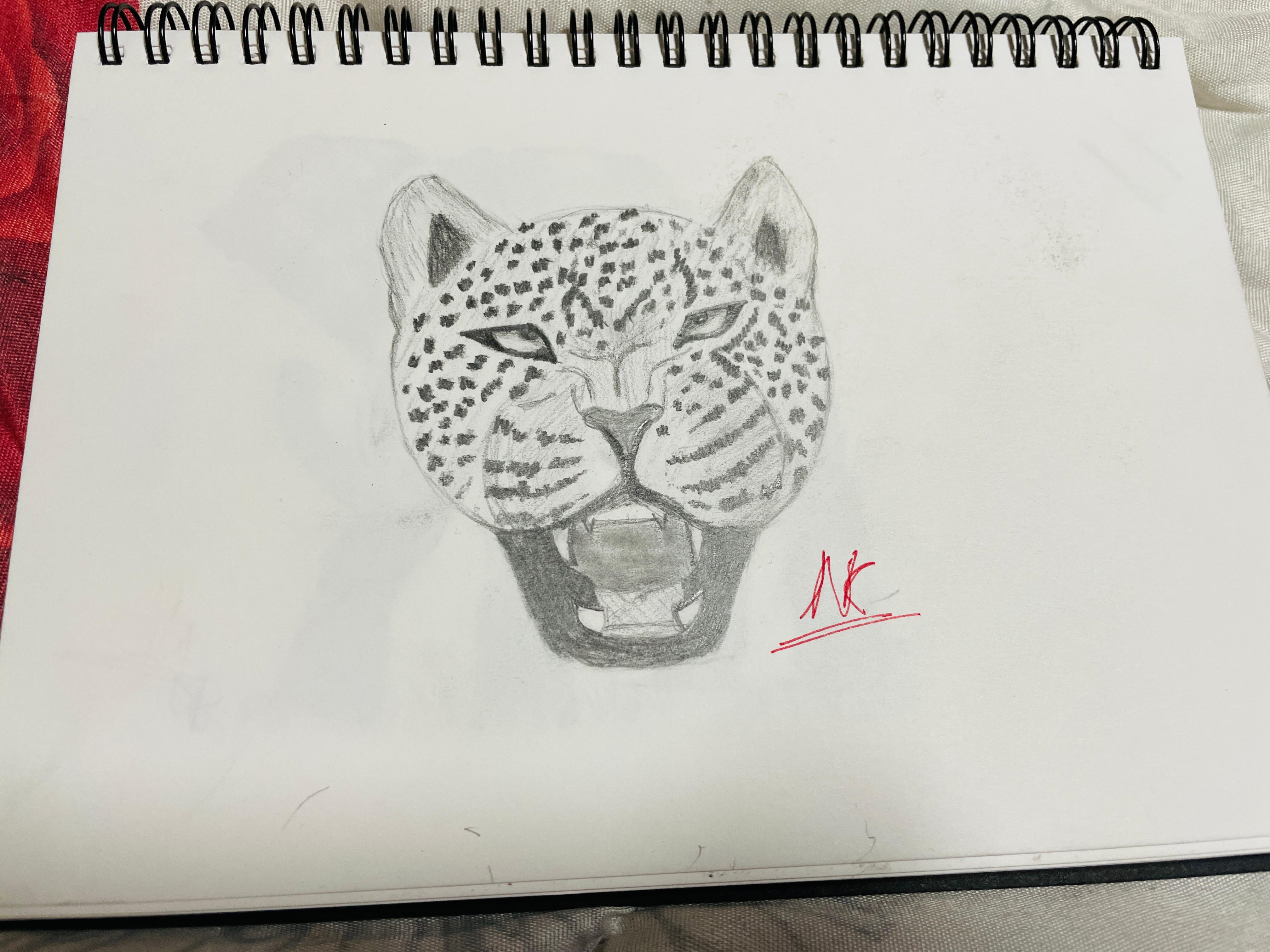 A pencil sketch of a cheetah